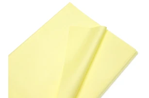 pelicula p-u  flori  58x58cm set.20buc.00030