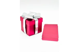 cutii p-u cadou 30cm buc.00066