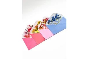 plicuri 11x16cm set 20buc 00061