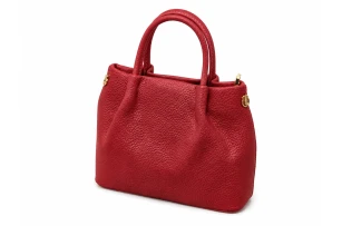 geanta pentru dame buc 00304