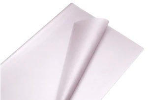 pelicula p-u  flori  58x58cm set.20buc.00046