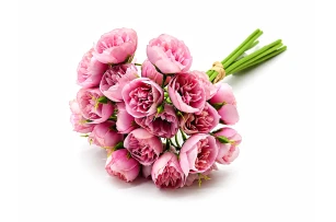 flori decor set  9 buc 00048