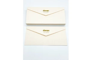 plicuri 22x11cm set 25buc 00160