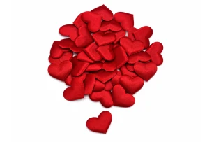 accesorii confectii 20mm set 1000buc 00288