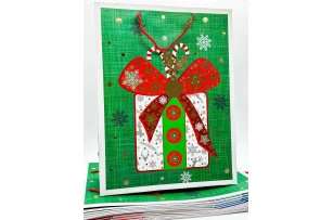 pungi cadou 39x30x12cm set.12buc.00188