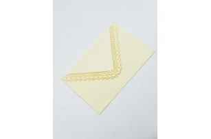 plicuri 11x17cm set 20buc 00154