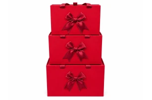 cutii p-u cadou set  3buc 00200