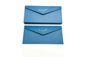 plicuri 22x11cm set 25buc 00160