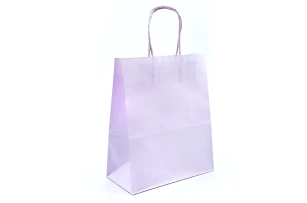 pungi hartie 22x16x8cm set.12buc. 00048