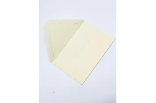 plicuri 11x17cm set 20buc 00154