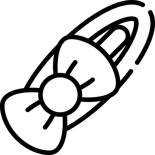 ACCESORII PENTRU PAR